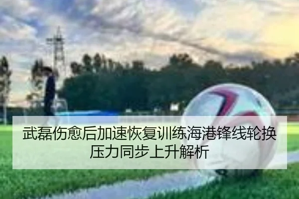 武磊伤愈后加速恢复训练海港锋线轮换压力同步上升解析